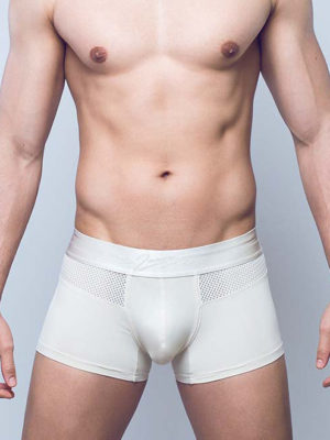 2EROS AKTIV Boreas Trunk Underwear – Whitecap Grey