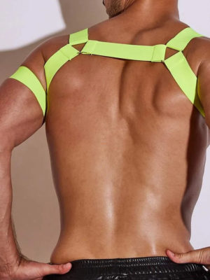 ThePack Hector Harness