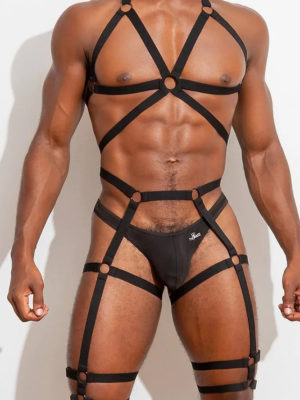 THEPACKUNDERWEAR BUSSY HARNESS 6 991290