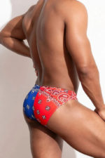 ThePack Cruise Brief /Two-Tone