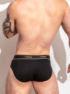 ThePack Hero Classic Brief  (VPL) /Black