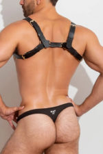 ThePack Holland Harness (LTHR)
