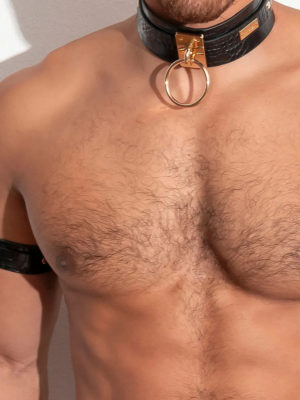 ThePack PLEASURE Choker v (LTHR)