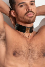 THEPACKUNDERWEAR PLEASURE VEGAN COLLAR 3