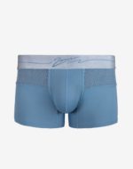 Trunk Blue Front