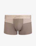 Trunk Brown Front