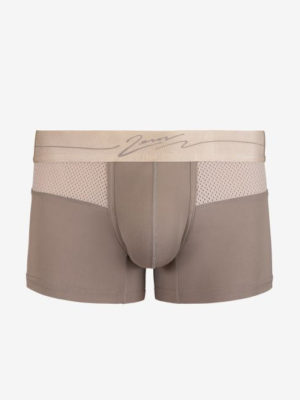 Trunk Brown Front