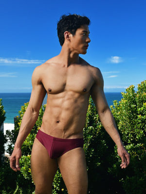 2EROS V10 Core (Series 2) Swimwear – Tawny Port