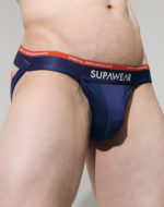 SUPAWEAR SPR Verve Jockstrap Underwear – Blue Ribbon