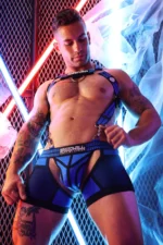 Hybred Body Harness2209 027 496846