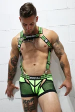 Hybred Body Harness2209 031 612425