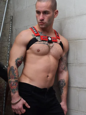 Poundtown Bulldog Harness2201 018 326606