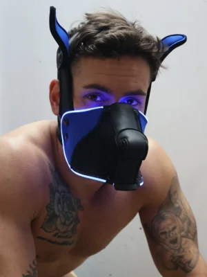 Poundtown Pup Mask 20 Blue2312 110 507356