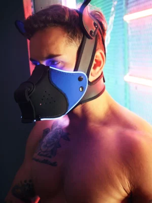 Poundtown Pup Mask 20 Blue2312 110 610219