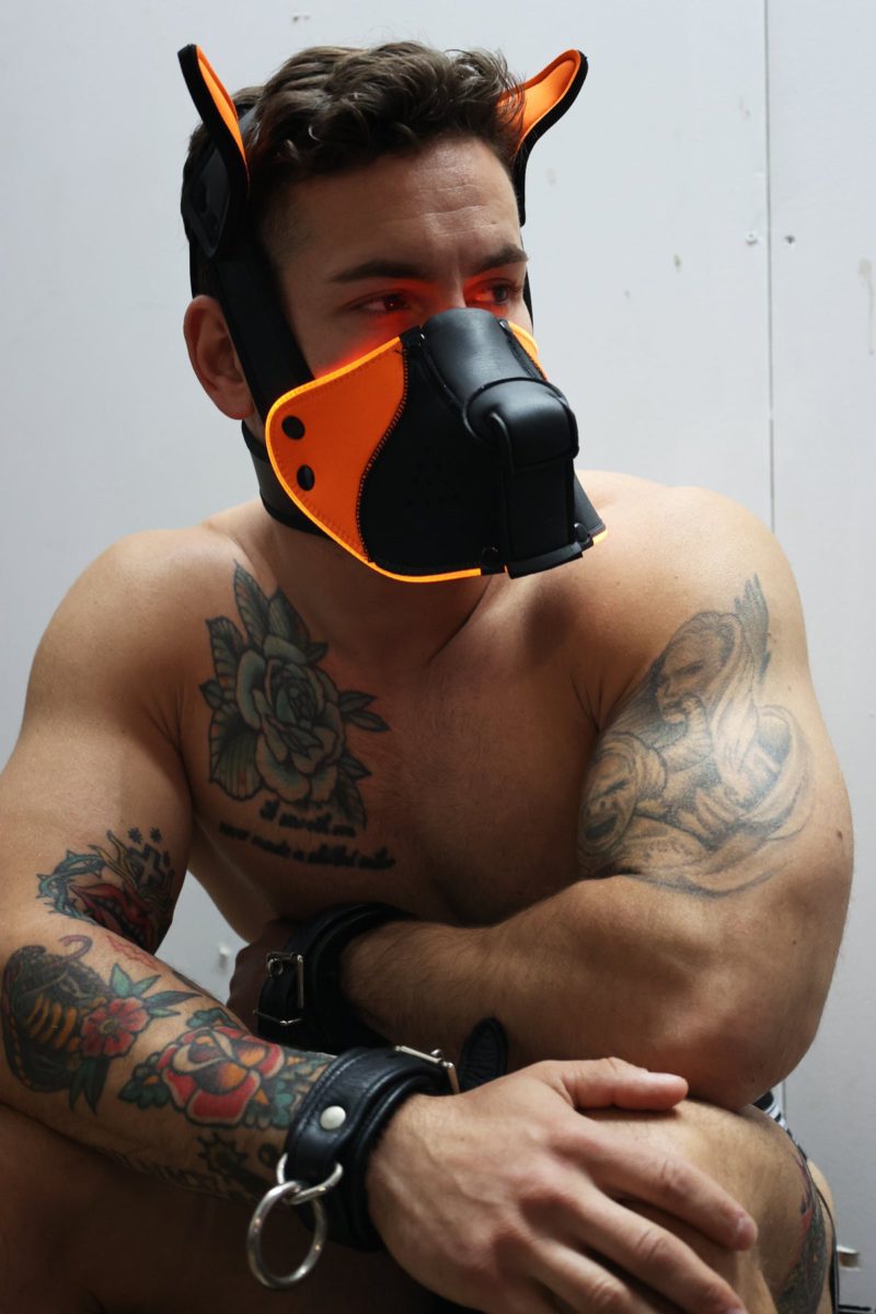 Breedwell Poundtown Pup Mask 2.0 – Neon Orange