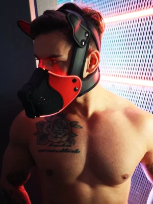 Poundtown Pup Mask 20 Red2312 111 356026