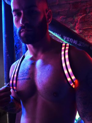 Breedwell Rave Shoulder Harness