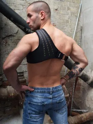 Synergy Harness Blackbw03639 497417