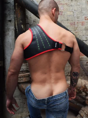 Synergy Harness Redbw03645 414101