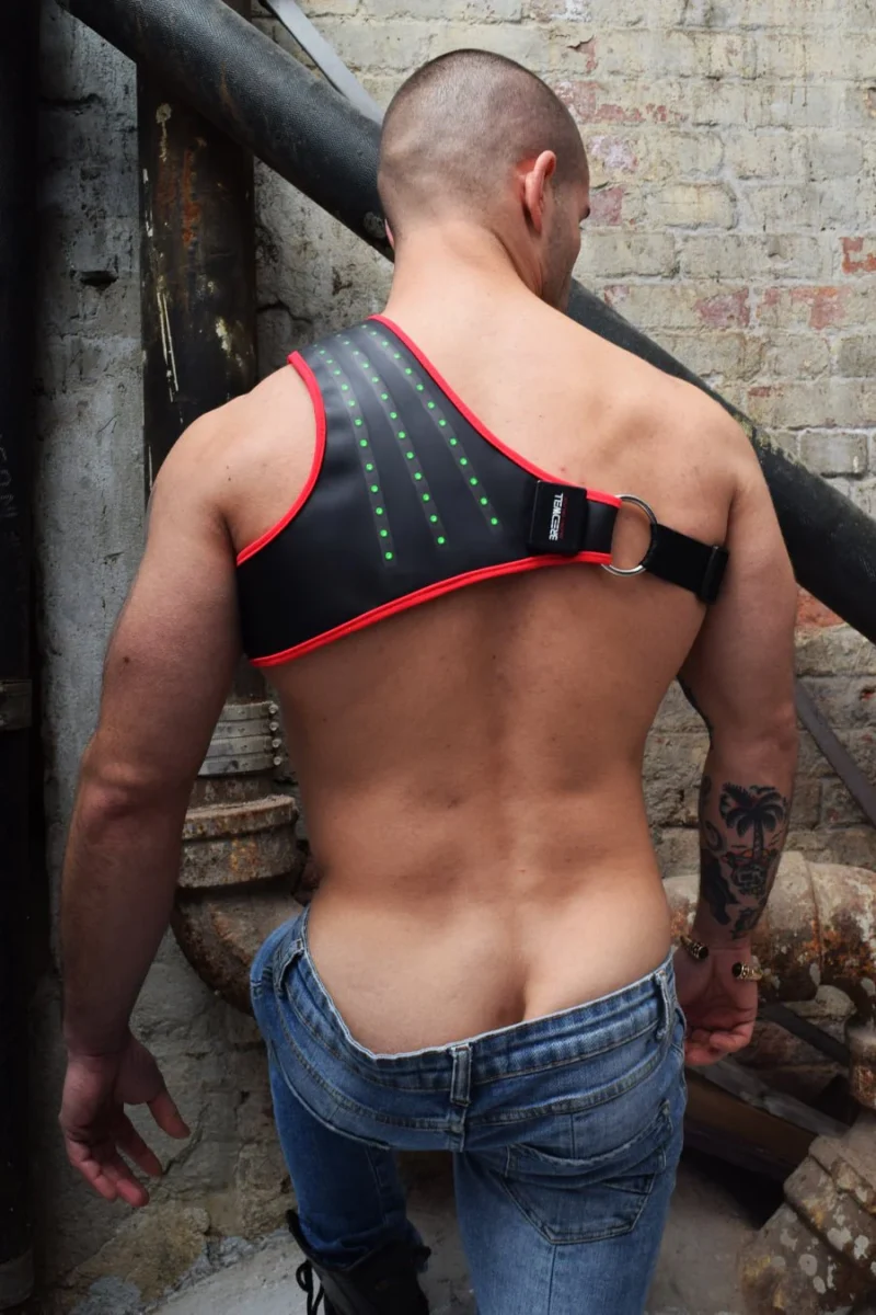 Synergy Harness Redbw03645 414101