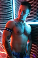 Transistor Armbands2312 038 579032