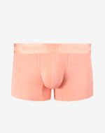 Trunk Pink Front