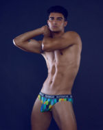 SUPAWEAR POW Brief Underwear – Peacock