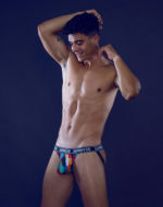 SUPAWEAR POW Jockstrap Underwear – Rooster