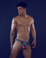 SUPAWEAR POW Jockstrap Underwear – Rooster