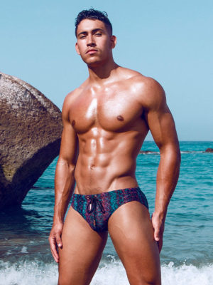 2EROS V10 Print Swimwear – Viper