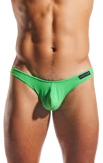 CX01 Palm Leaf 1