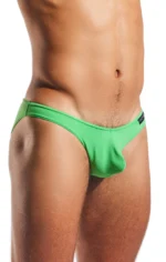 CX01 Palm Leaf 2