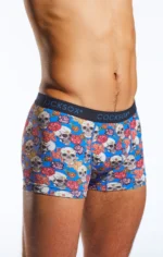 CX12DD Calavera Blue 2