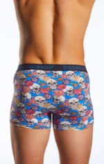CX12DD Calavera Blue 3