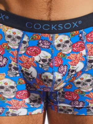 CX12DD Calavera Blue Hero