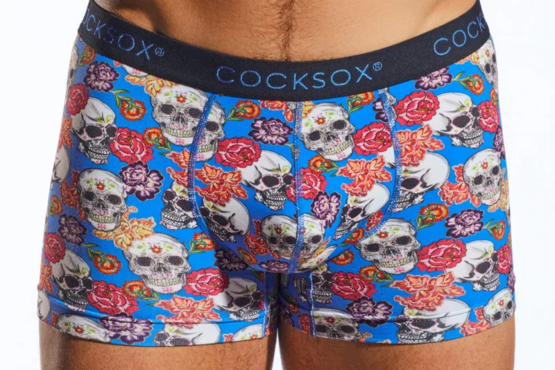 CX12DD Calavera Blue Hero