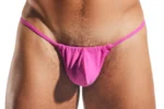 CX14 Fuchsia Hero
