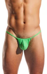 CX14 Palm Leaf 1