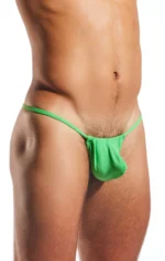 CX14 Palm Leaf 2