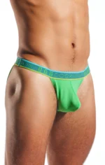 CX16N Palm Leaf 2