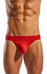 CX21N Red 2