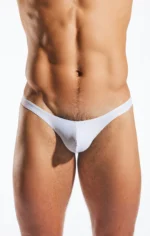 CX22 White Pointer 1