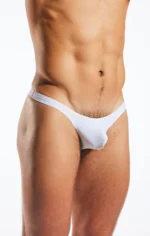 CX22 White Pointer 2