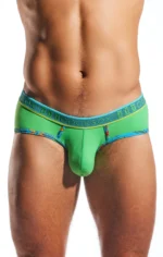 CX76N Palm Leaf 1