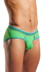 CX76N Palm Leaf 2