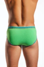 CX76N Palm Leaf 3