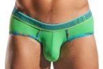 CX76N Palm Leaf Hero