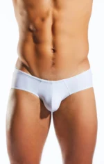CX79 White Pointer 1