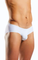 CX79 White Pointer 2