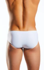 CX79 White Pointer 3